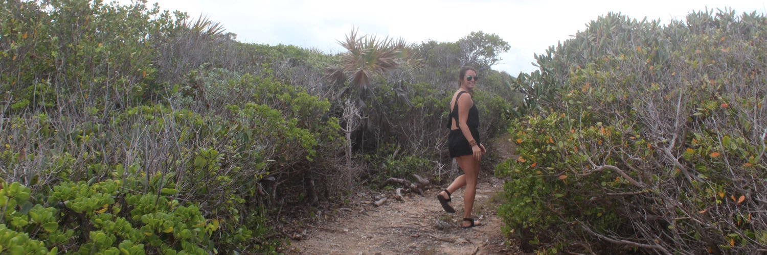 brookebegnoche's profile banner image