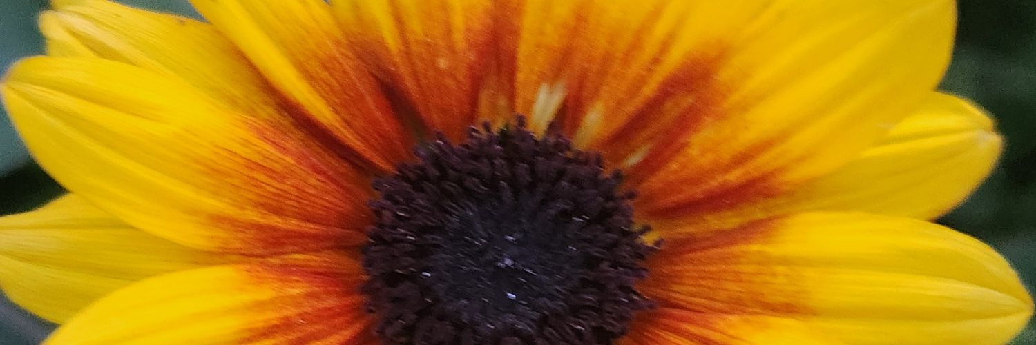 cynname's profile banner image