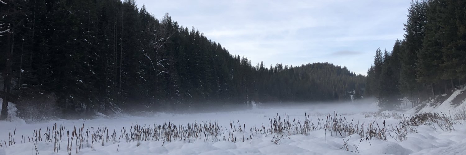 JackieMD13's profile banner image