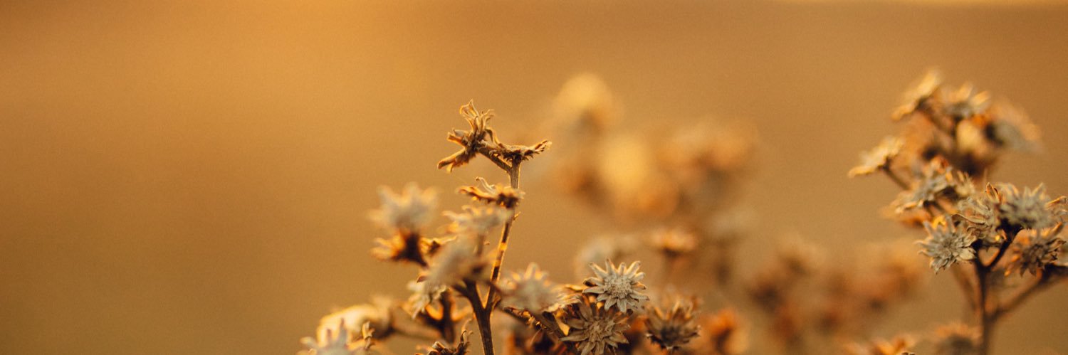 maytecita___'s profile banner image