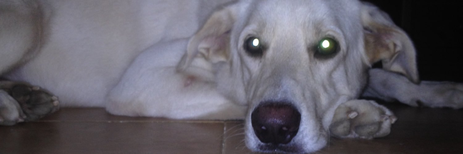 KarysbelGuFi's profile banner image