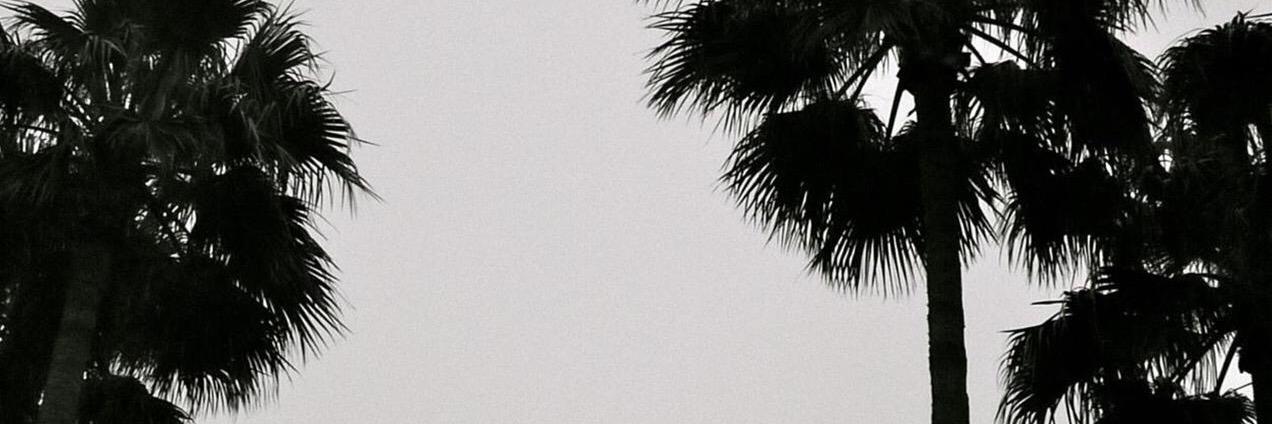 Kevin_Ortega's profile banner image