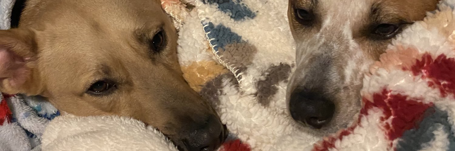 AshleyMarie322's profile banner image