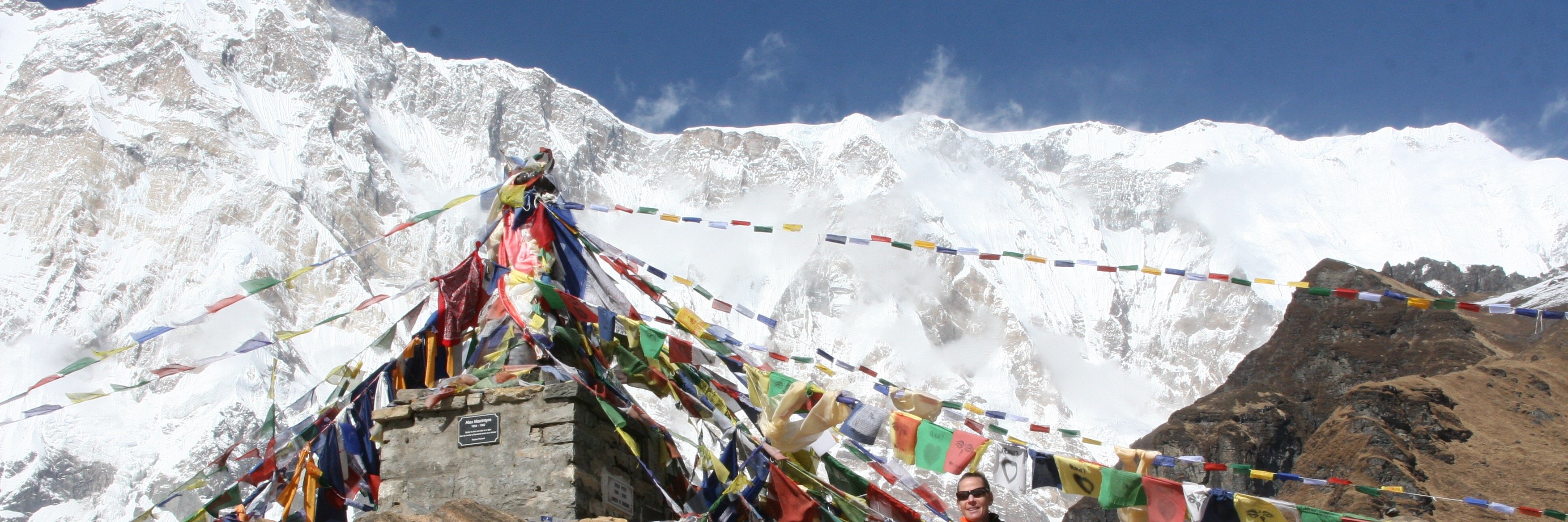 Birgitte Biorn banner