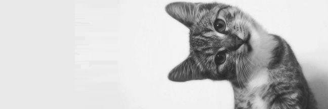 okayjulay's profile banner image