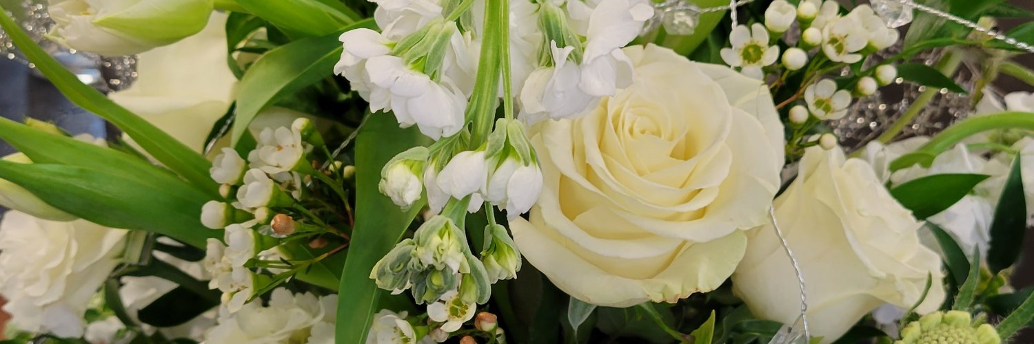 MelissaMAlsop's profile banner image