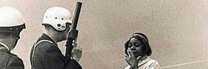 beautyondeck's profile banner image