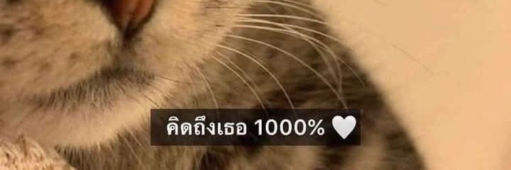 Goofy SuperChub banner