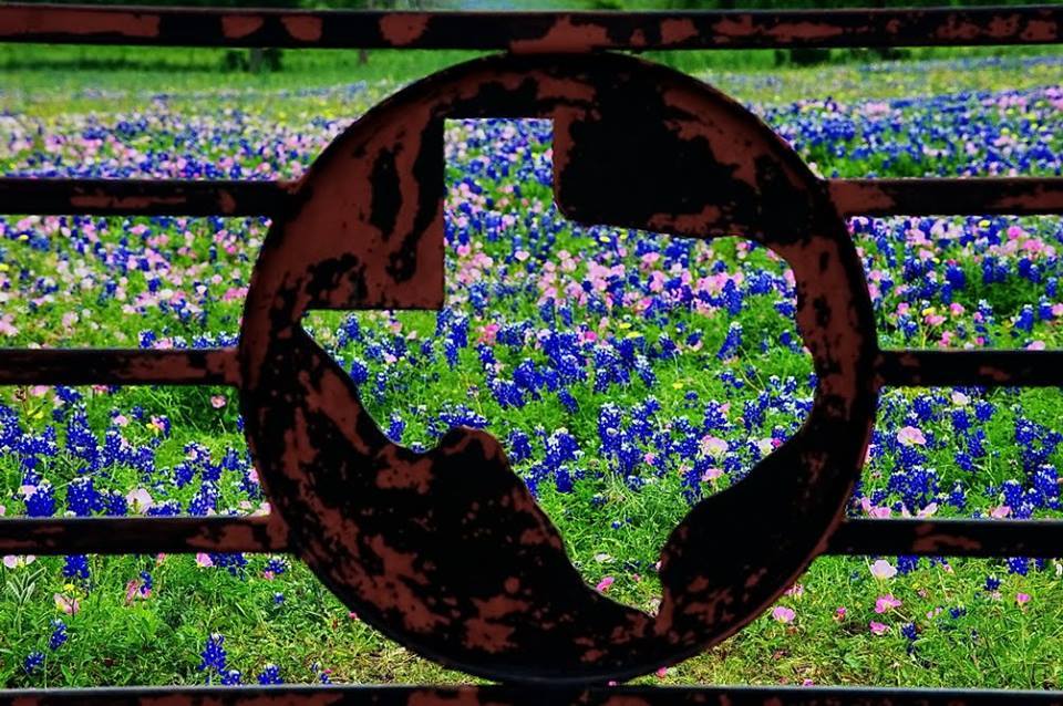 MamaMaez's profile banner image