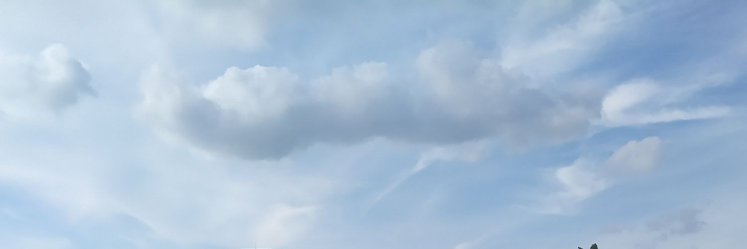 My77.eth 💎 banner