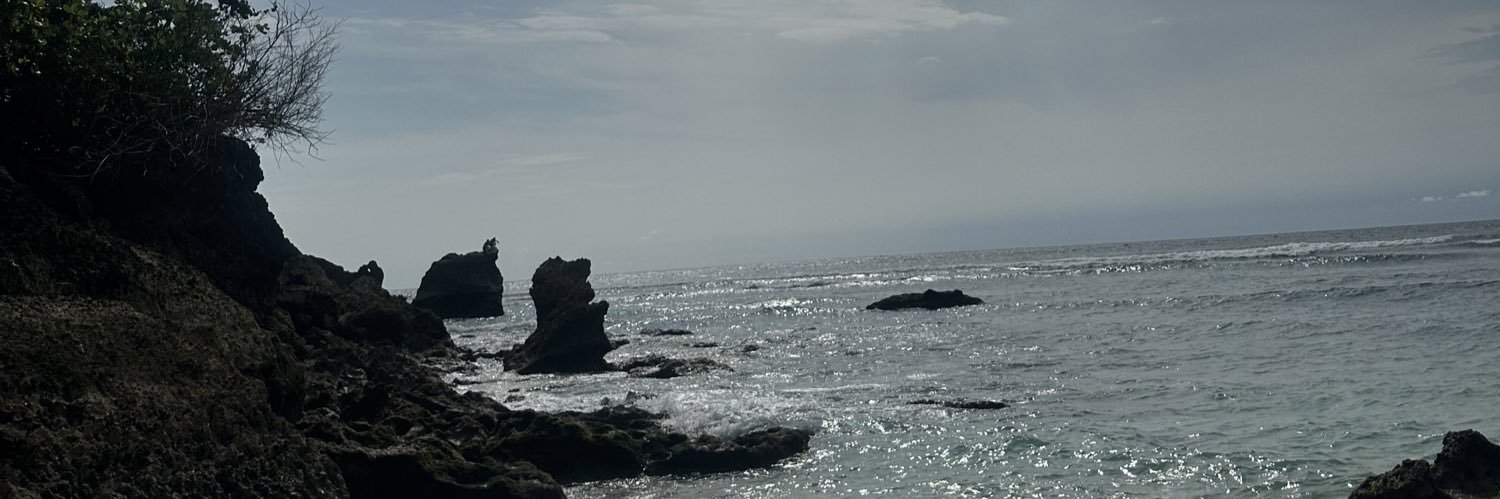 theaester's profile banner image