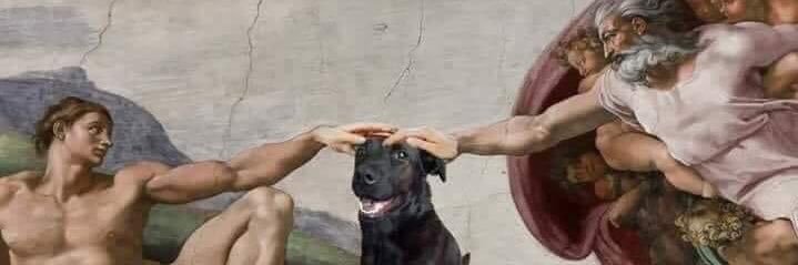 Zombicente 🏳️‍🌈 banner