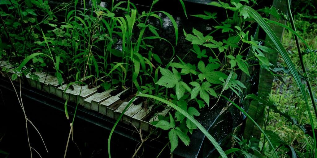 Jean-Sébastien Catier banner