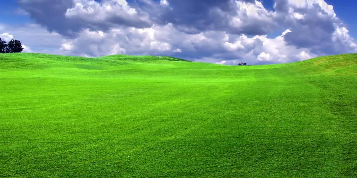 abujawwad1's profile banner image