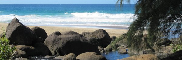 anditerada Profile Banner