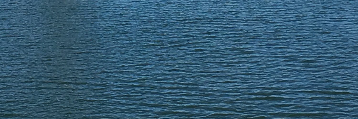 DotsCl's profile banner image
