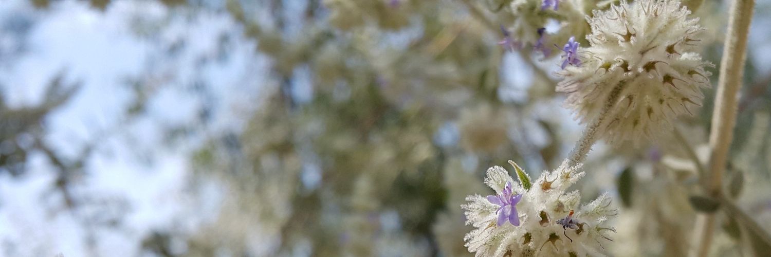 jbalpuesta's profile banner image