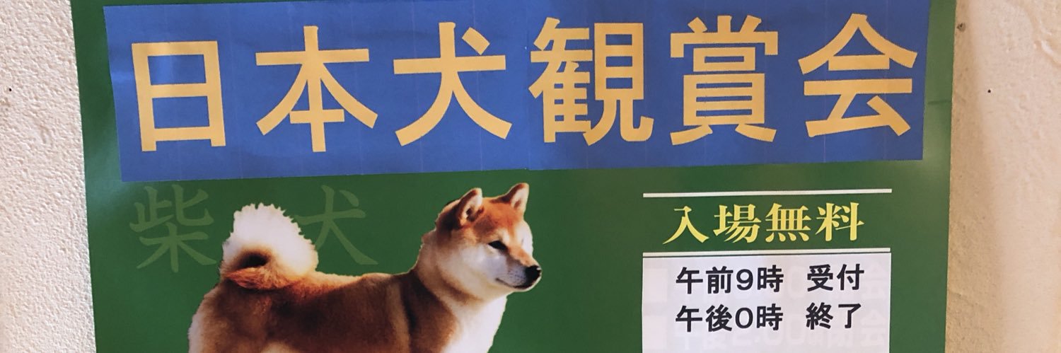 napynu's profile banner image
