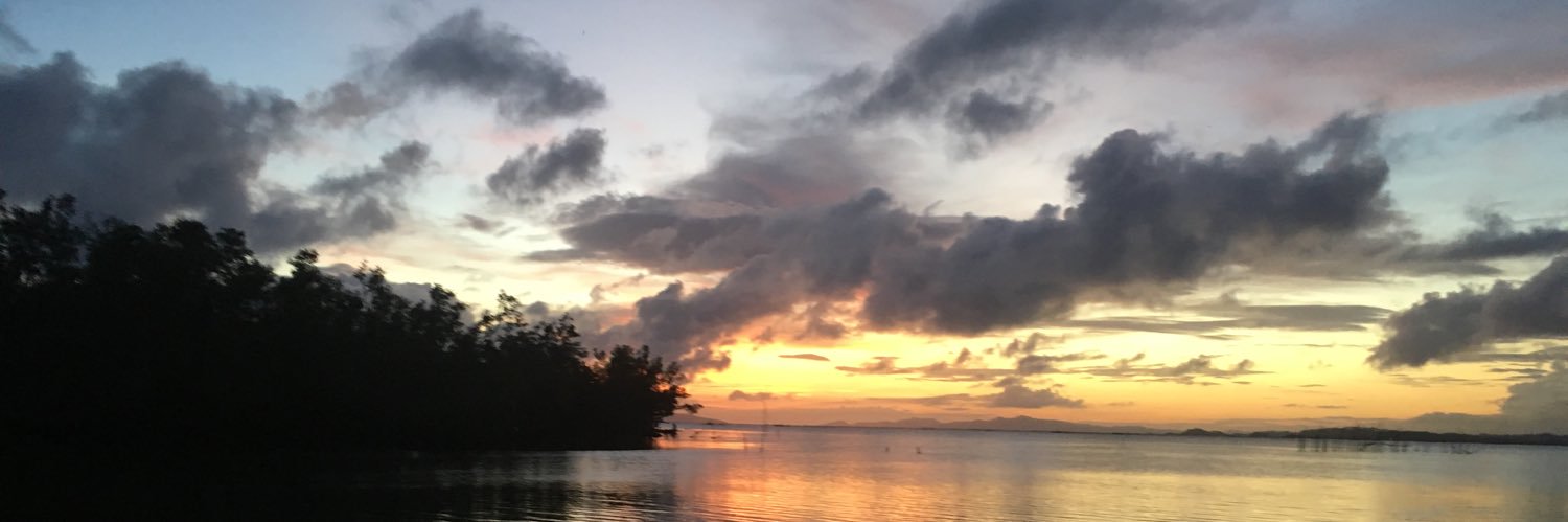 monaydabread's profile banner image