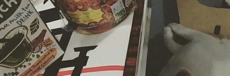 lilbunniewabbit's profile banner image