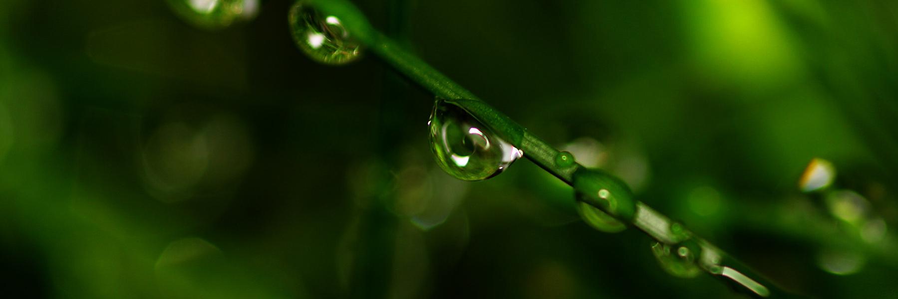 GreenAltruism's profile banner image