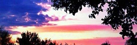 Debbie Madison banner