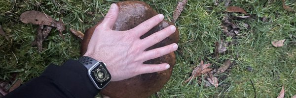 clint_jasper Profile Banner