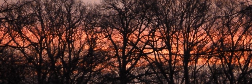Ellie_Gee's profile banner image