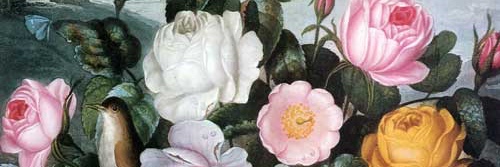 Thomas Mickey banner