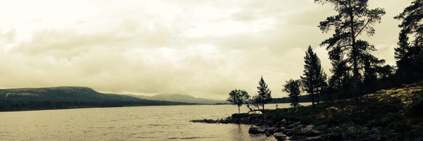 limbo Profile Banner