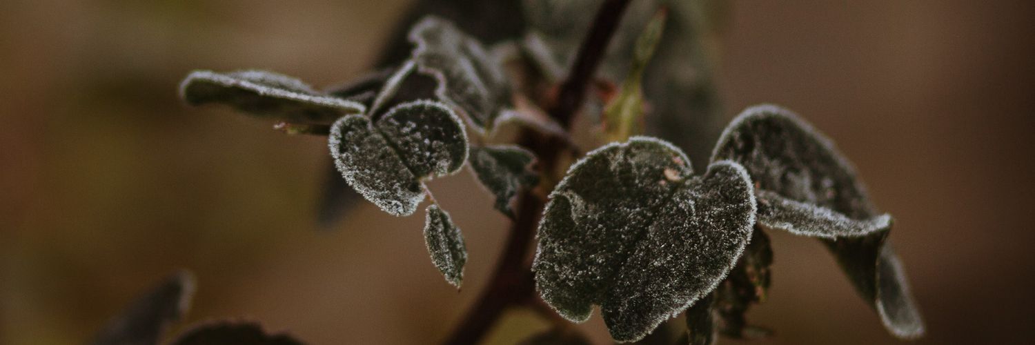 morgannamphoto's profile banner image