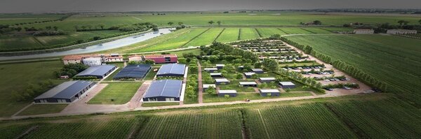 umbex Profile Banner