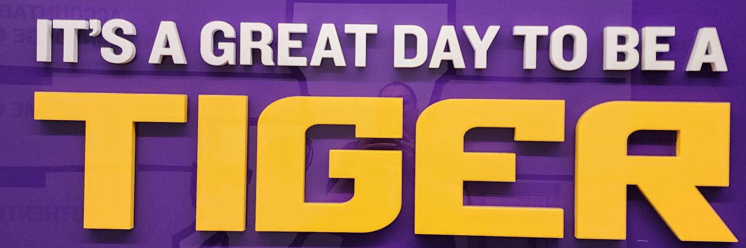 #1LSUfaninNebraska 🐯 banner