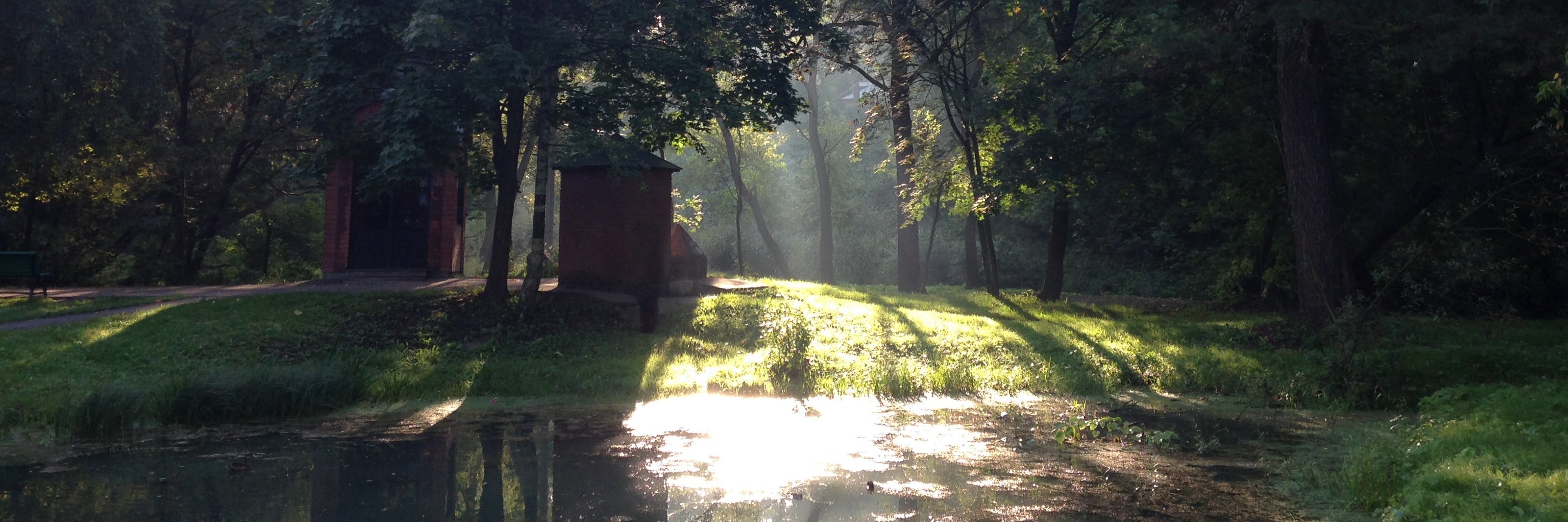 Samat Galimov banner