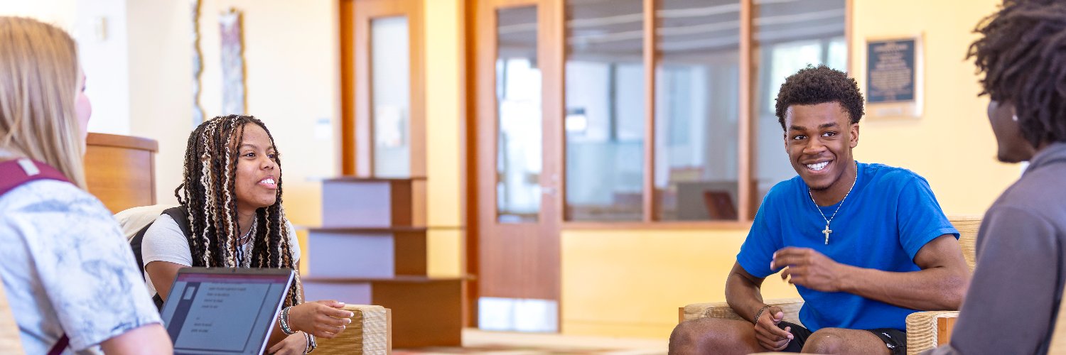 LaGrange  College banner