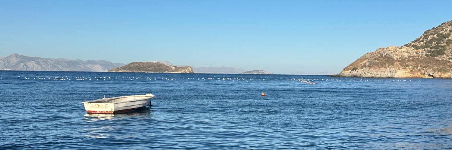 mareluminosa's profile banner image