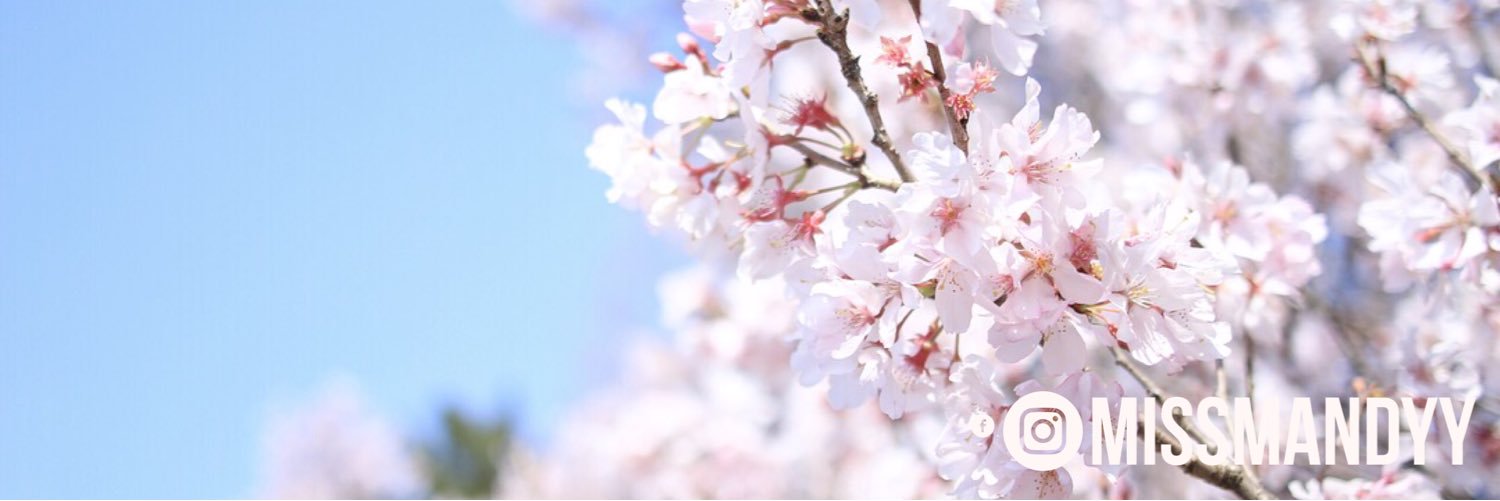 missmandyylyn's profile banner image