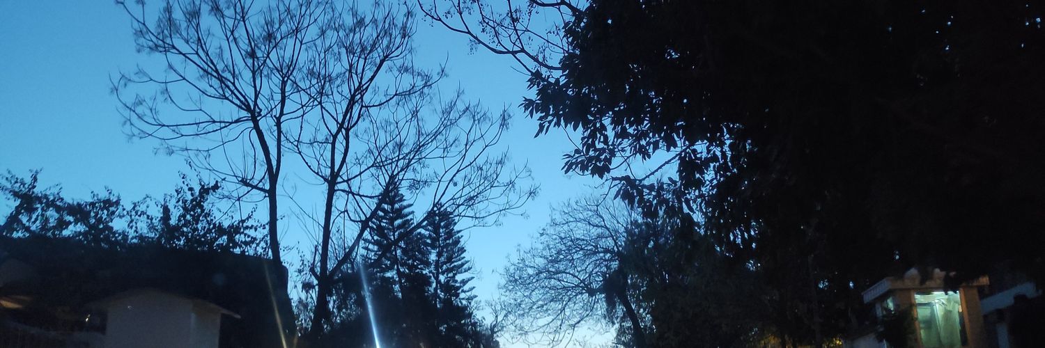 spiraldances's profile banner image