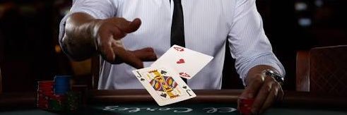 Başar Çankaya banner