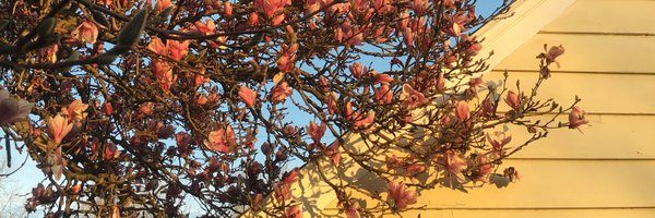 queengabbi Profile Banner