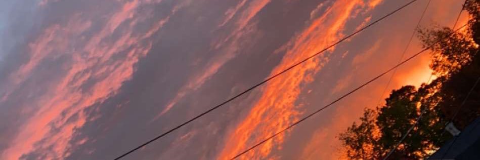 _SARndipity's profile banner image