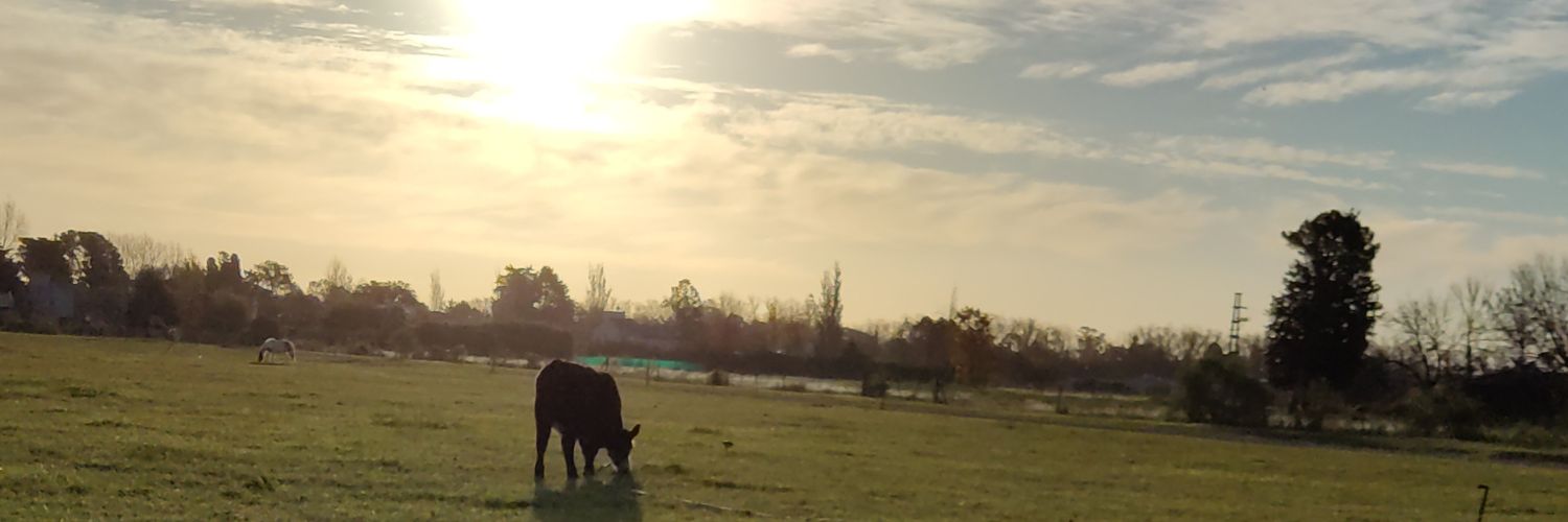 kilynet's profile banner image