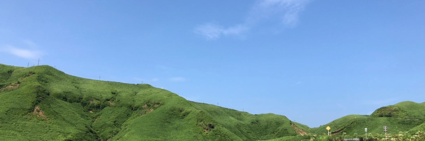 pingu0211's profile banner image