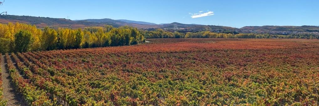 Gobierno de La Rioja banner
