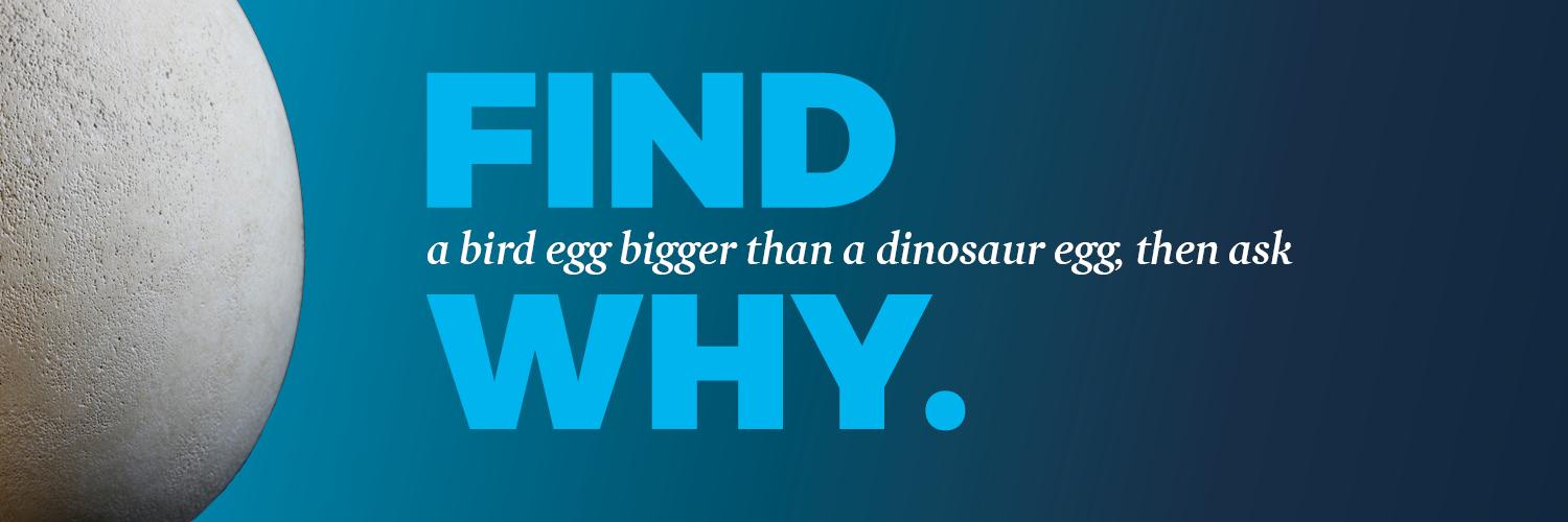 BuffaloMuseumofScience banner