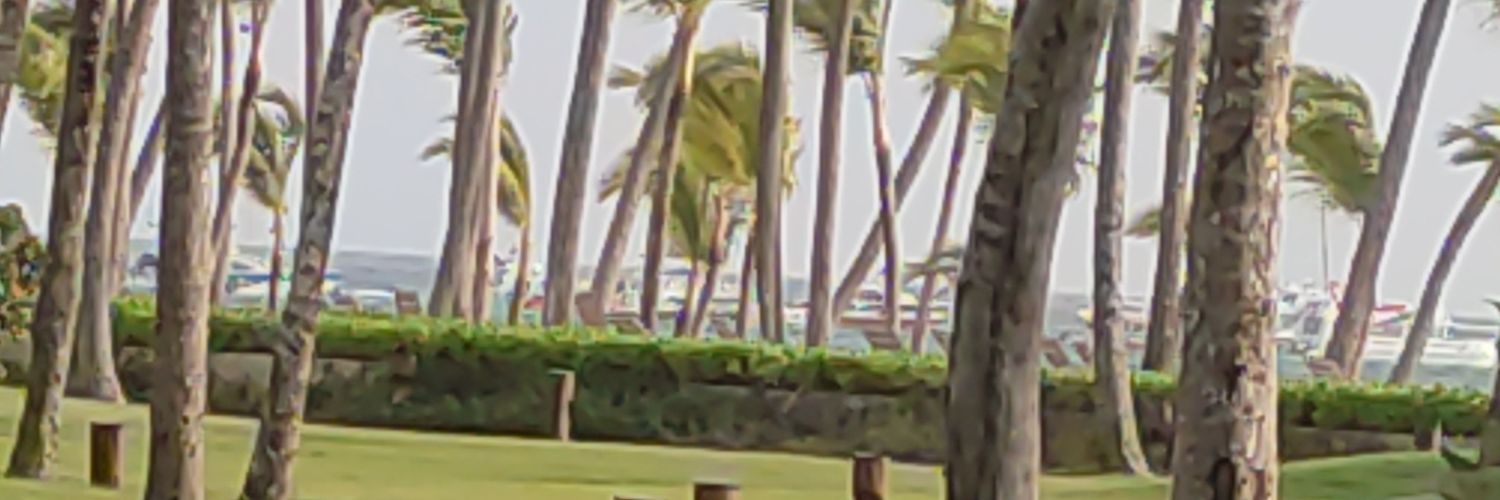olgalu05's profile banner image