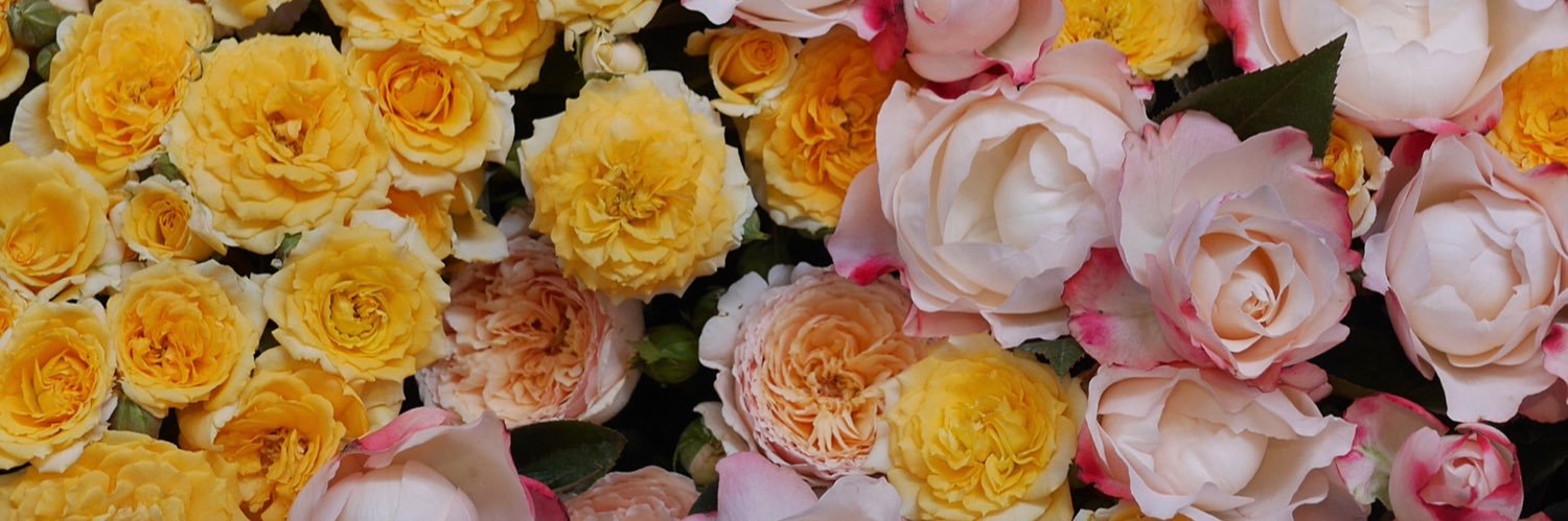 ReadMyMind's profile banner image