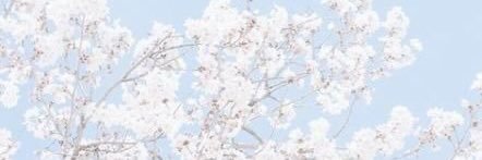 Joieloving's profile banner image