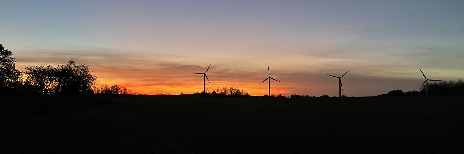 Torben Finn Laursen banner