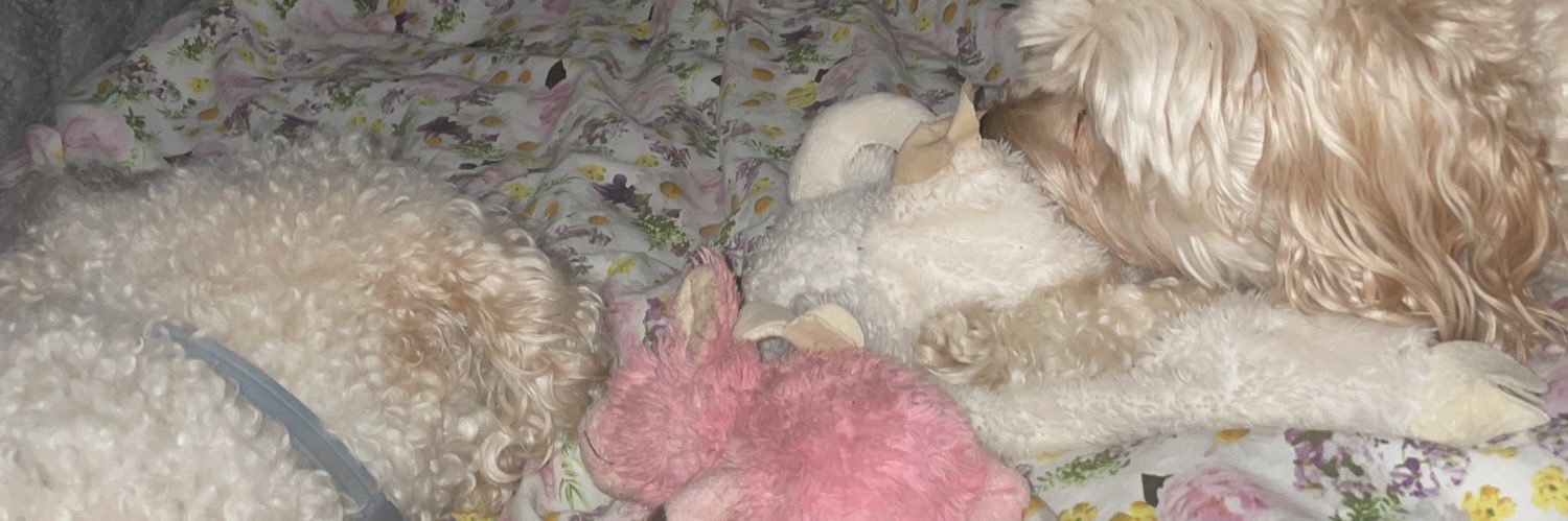 catherinesyms's profile banner image